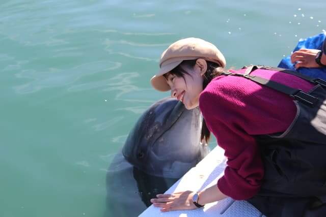 Ehime Dolphin Farm