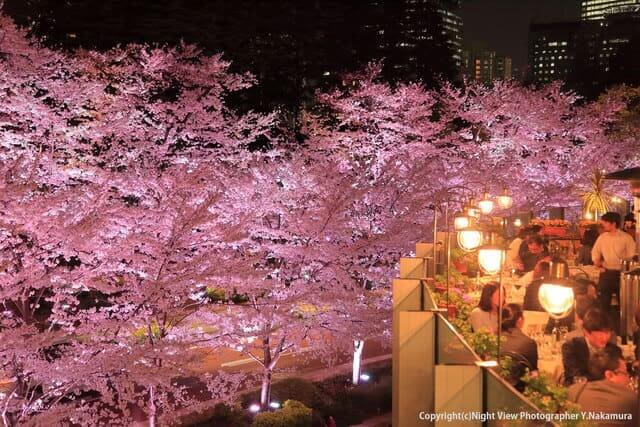 TOKYO MIDTOWN BLOSSOM