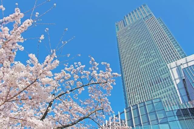 TOKYO MIDTOWN BLOSSOM