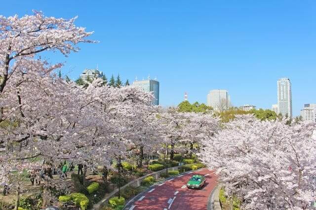 TOKYO MIDTOWN BLOSSOM