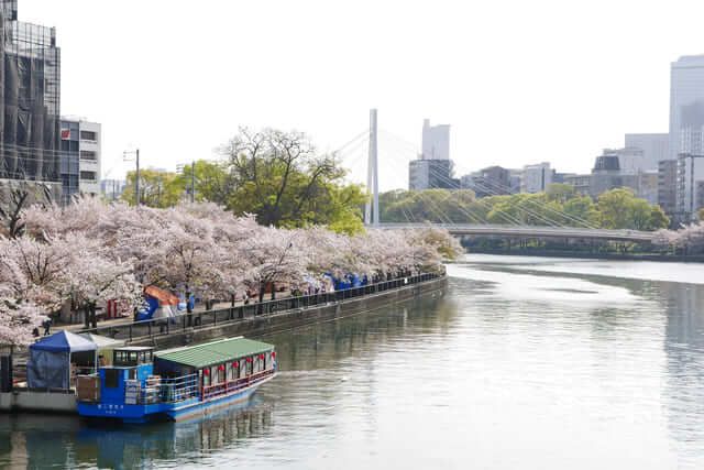 điểm ngắm hoa anh đào đẹp ở Osaka Sở đúc tiền Osaka