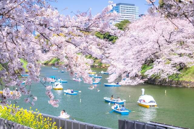 Chidorigafuchi, Tokyo