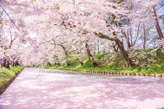 弘前公園 Công viên Hirosaki (tỉnh Aomori)