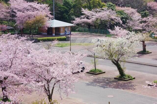 công viên Bizan, Tokushima