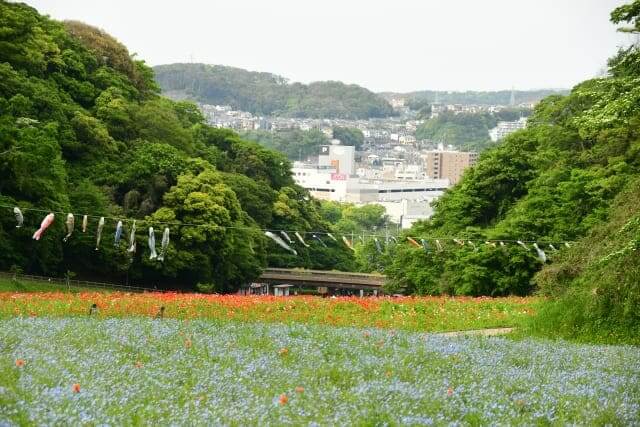 kurihama