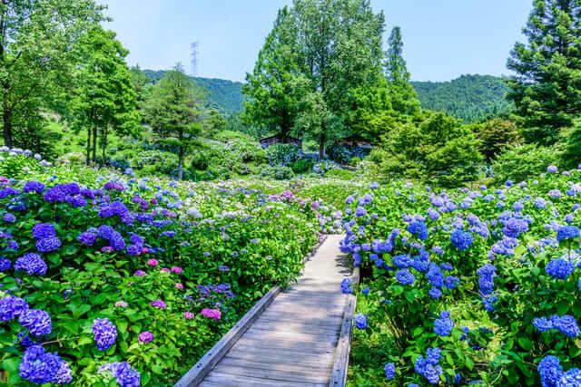 Vườn Văn hóa và Tự nhiên Maizuru [Thành phố Maizuru, Kyoto]