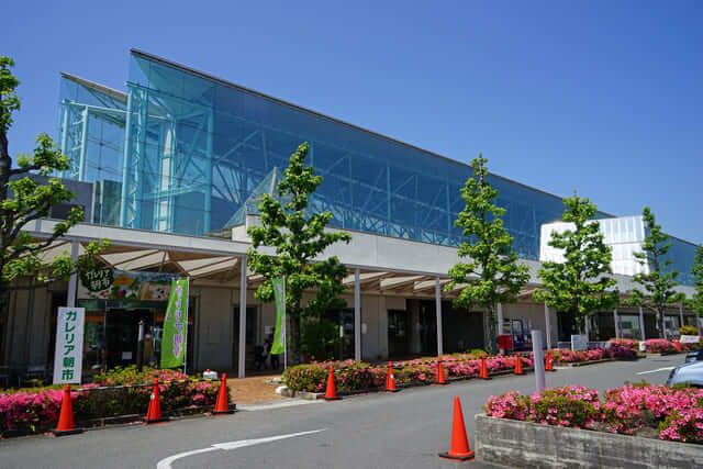 Vườn hoa bên đường Galleria Kameoka [Thành phố Kameoka, tỉnh Kyoto]