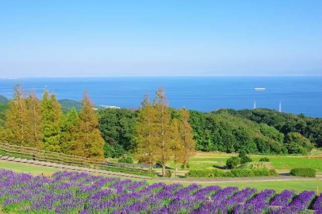 Công viên tỉnh Hyogo Awaji Flower Sajiki (Thành phố Awaji, tỉnh Hyogo)