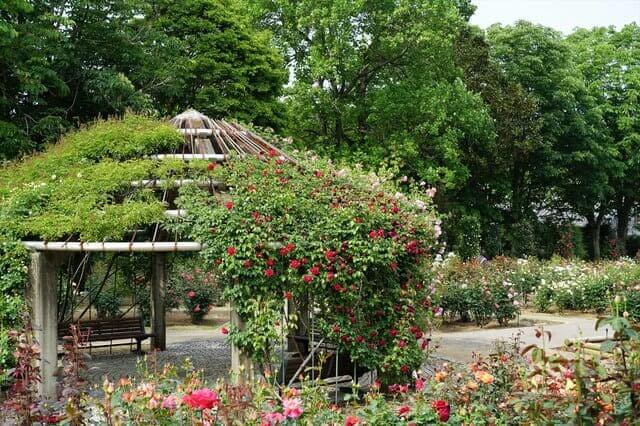 Ibaraki Flower Park