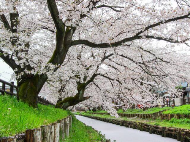 Kawagoe Saitama