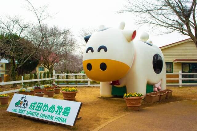 Narita Dream Farm