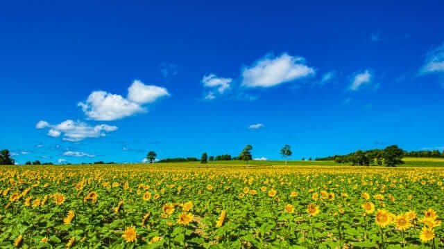 Hokuryu Hokkaido