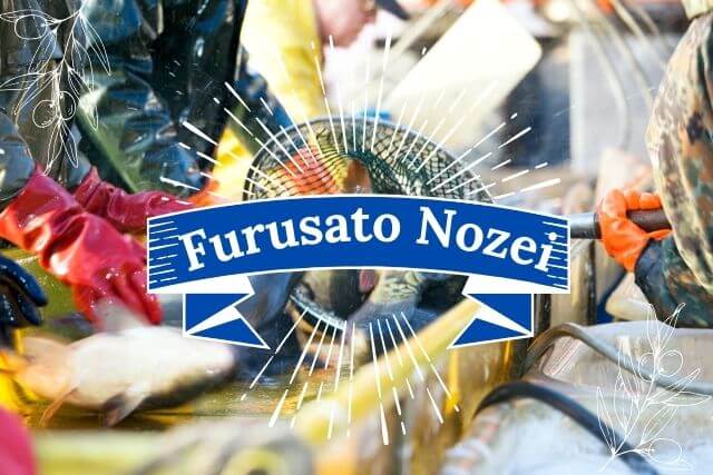 furusato nozei