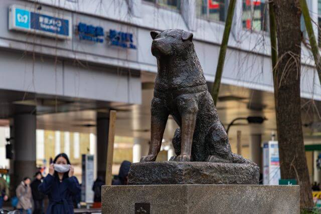 hachiko shibuya