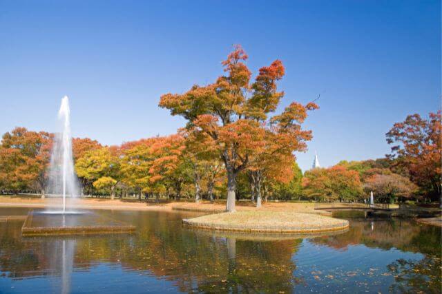 công viên yoyogi tokyo