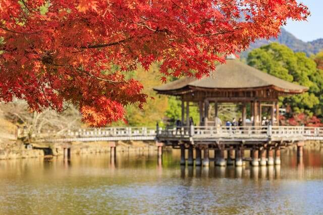 Nara-park