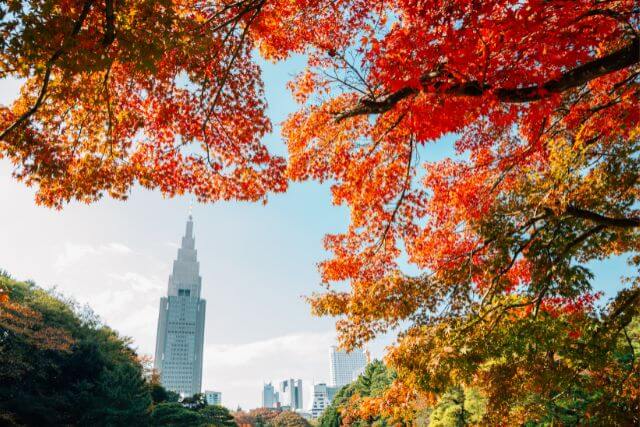 Shinjuku Tokyo