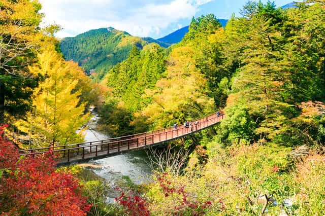 Thung lũng Akigawa (Tokyo)