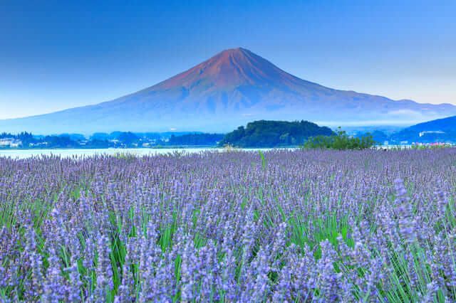 Công viên quốc gia Fuji-Hakone-Izu