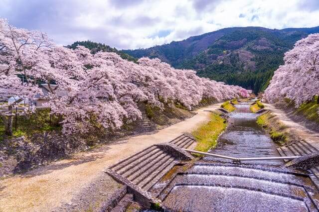 Ayukawa