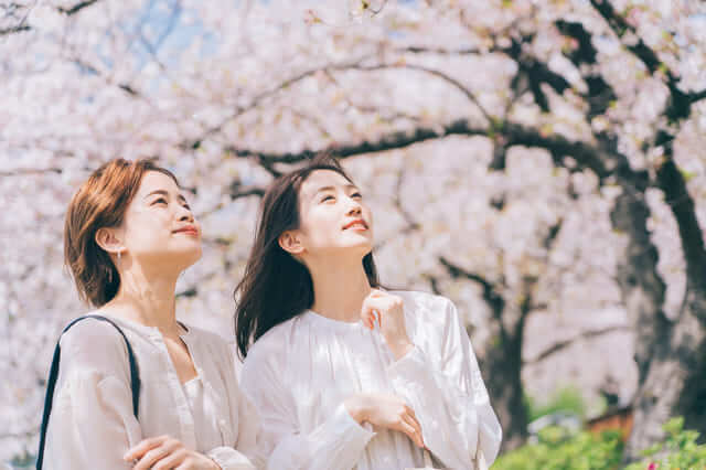 20 điểm du lịch lý tưởng trong mùa xuân ở Nhật｜Kênh du lịch LocoBee