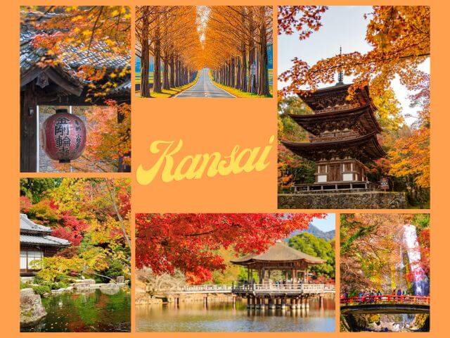 関西の紅葉名所10選｜LocoBeeトラベルチャンネル