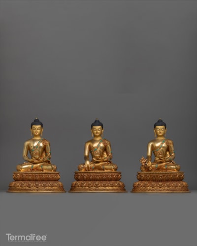 Shakyamuni Buddha/439337534_779843344245042_5056775653095401302_n_n6b6np