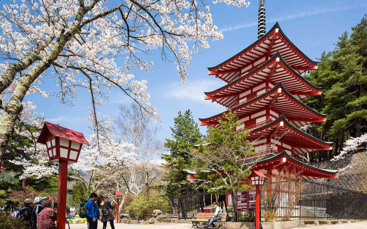 Japanese pagoda among cherry blossoms