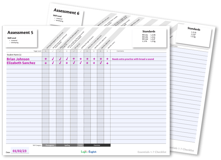 Essentials progress monitoring checklist example