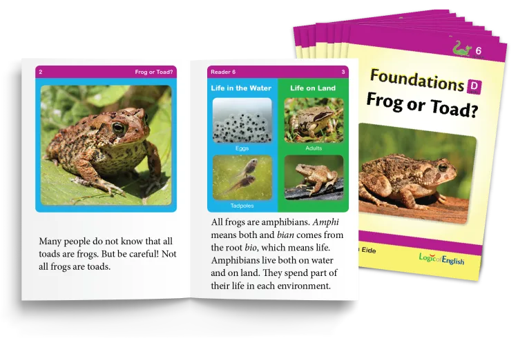 Set of eight nonfiction decodable readers controlled for phonograms and spelling rules learned throughout Foundations D