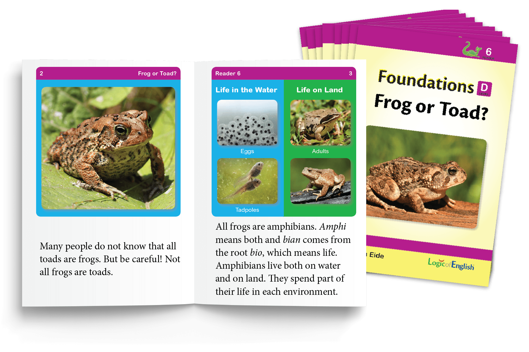 Set of 8 nonfiction, decodable readers controlled for phonograms and spelling rules learned throughout Foundations D.