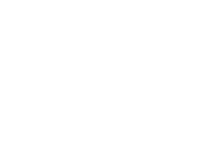 Arsenal Hotel