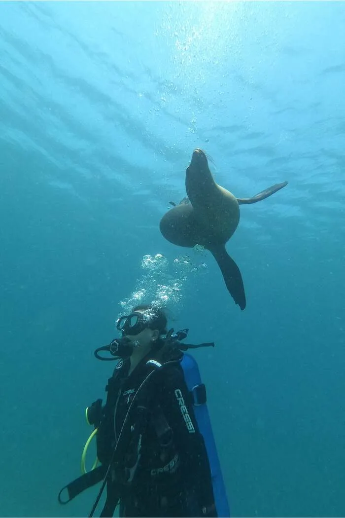 Isla Isabela, Galápagos