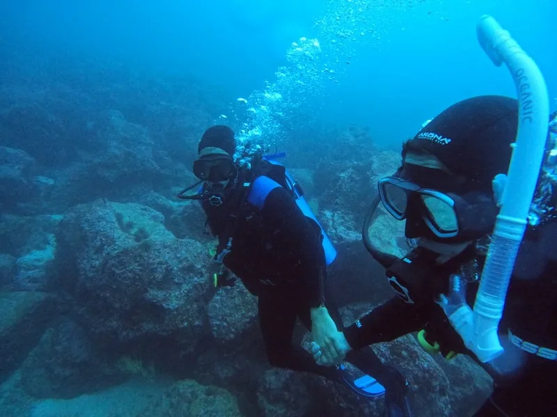 Discovery Diving