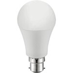 נורת COOL WHITE LED 10W - חיבור B22 - עדשה חלבית