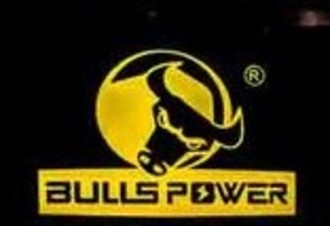 BULLS POWER סוללות נטענות ומצברים
