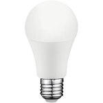 נורת COOL WHITE LED 10W - הברגה E27 - עדשה חלבית