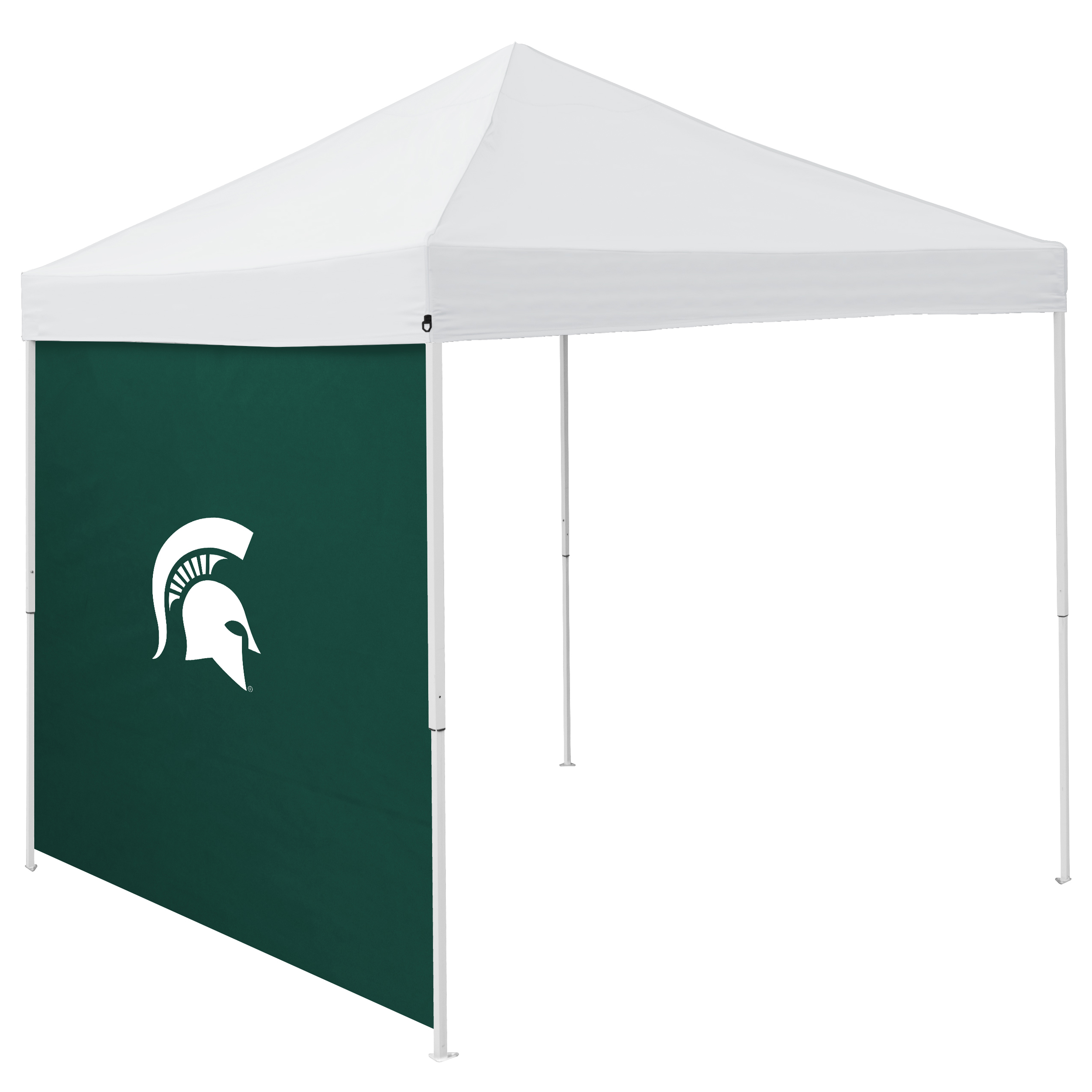 Michigan State Spartans 9 x 9 Side Panel  