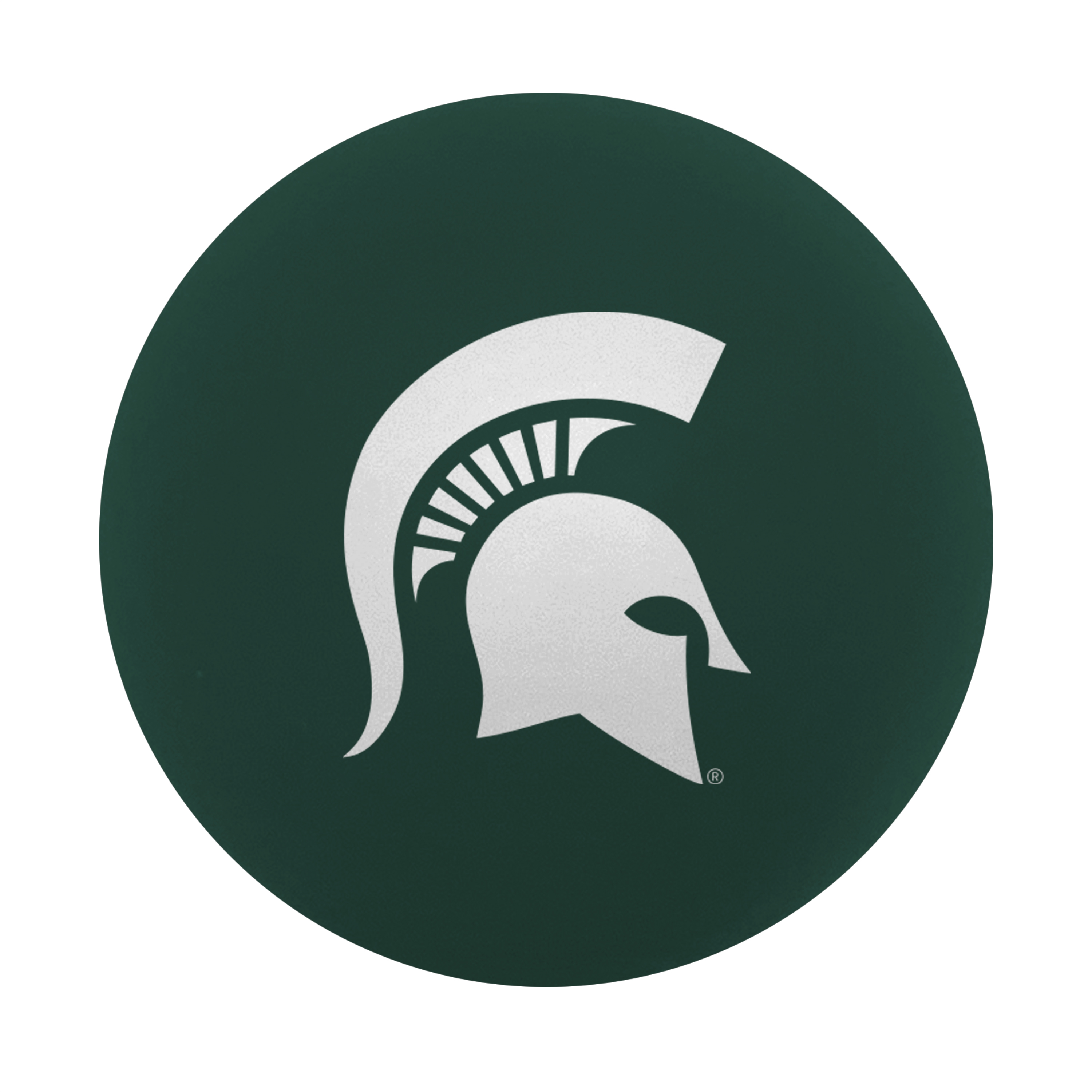 Michigan State Spartans Full Color High Bounce Ball  