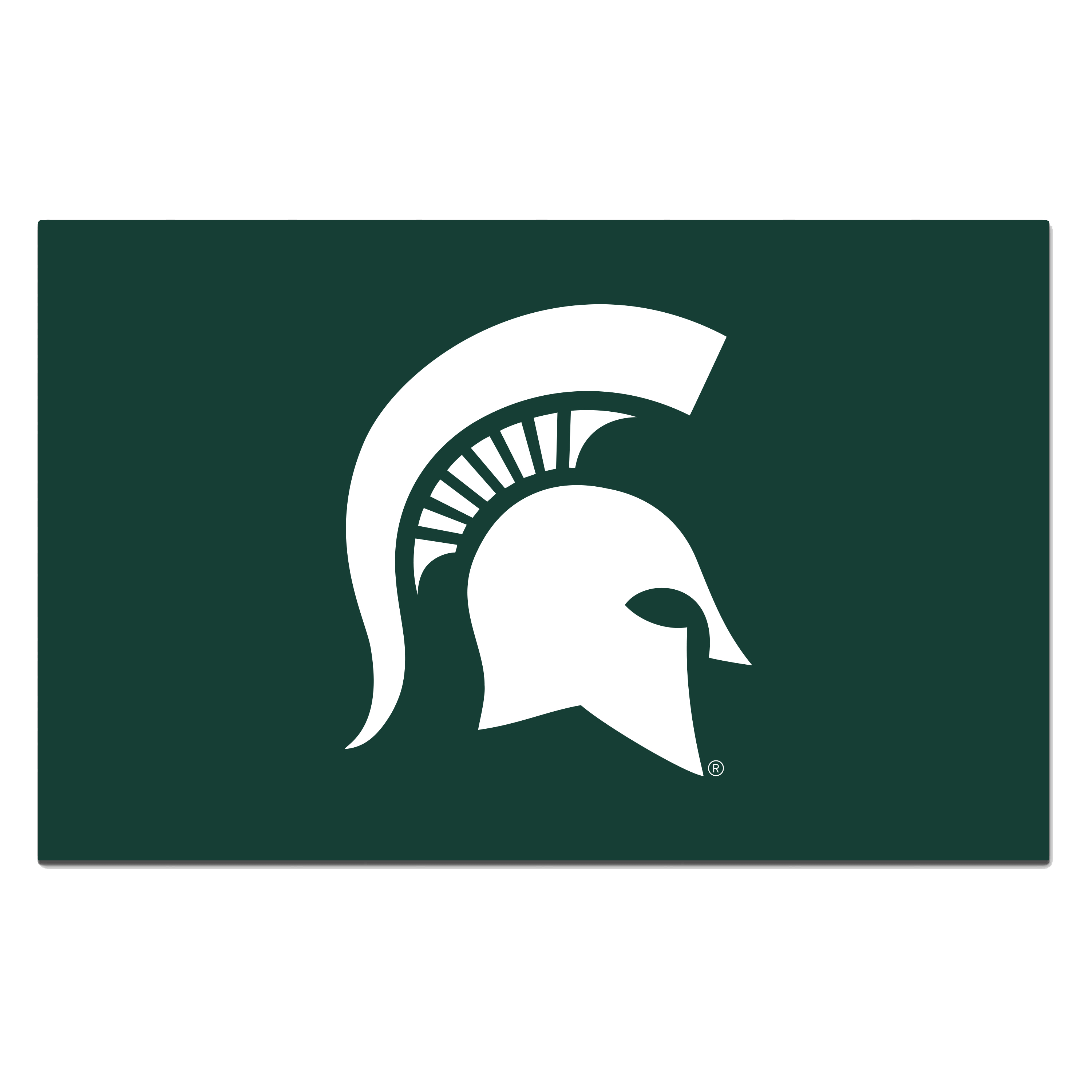 Michigan State University Camo Scraper Mat    