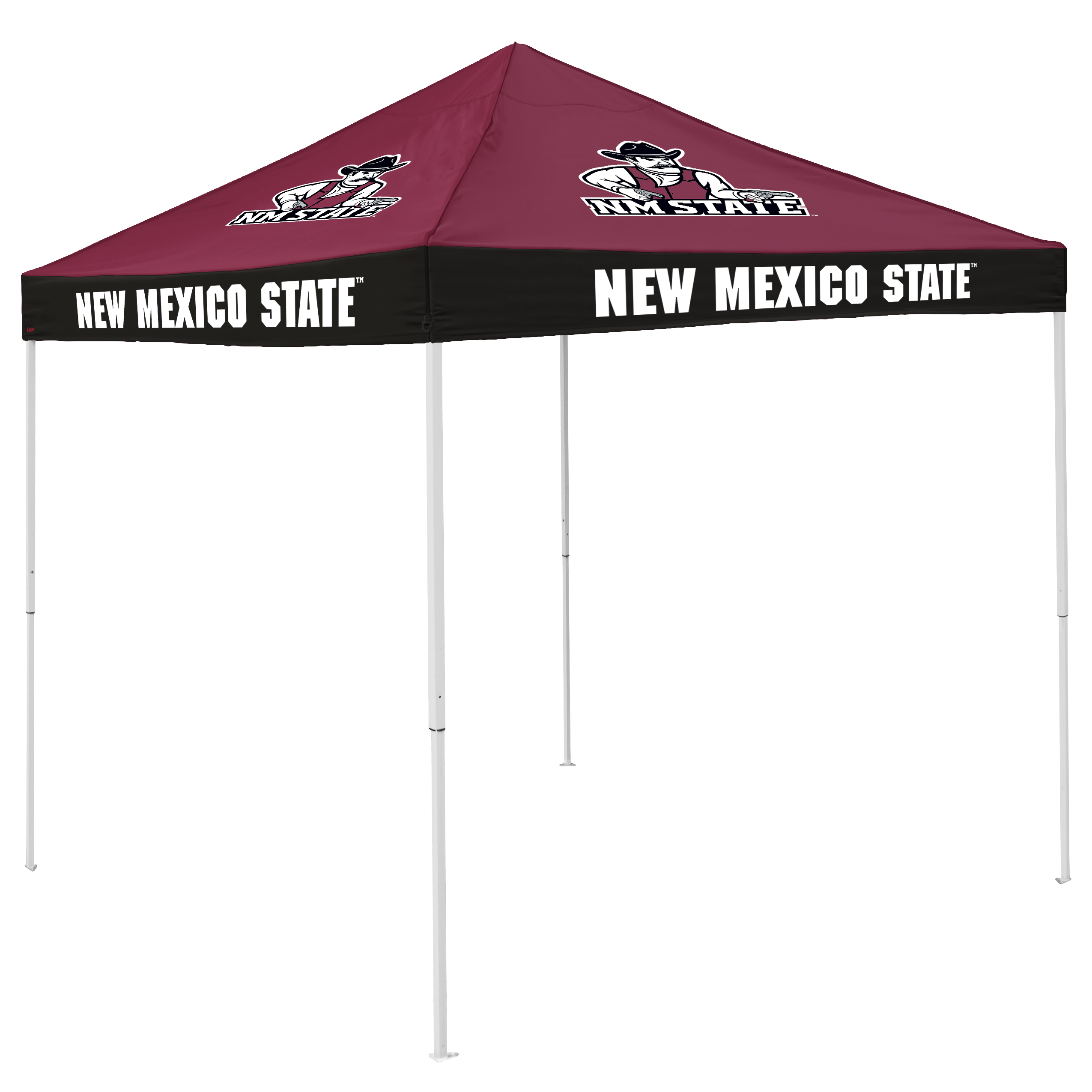 NM State Economy Canopy  