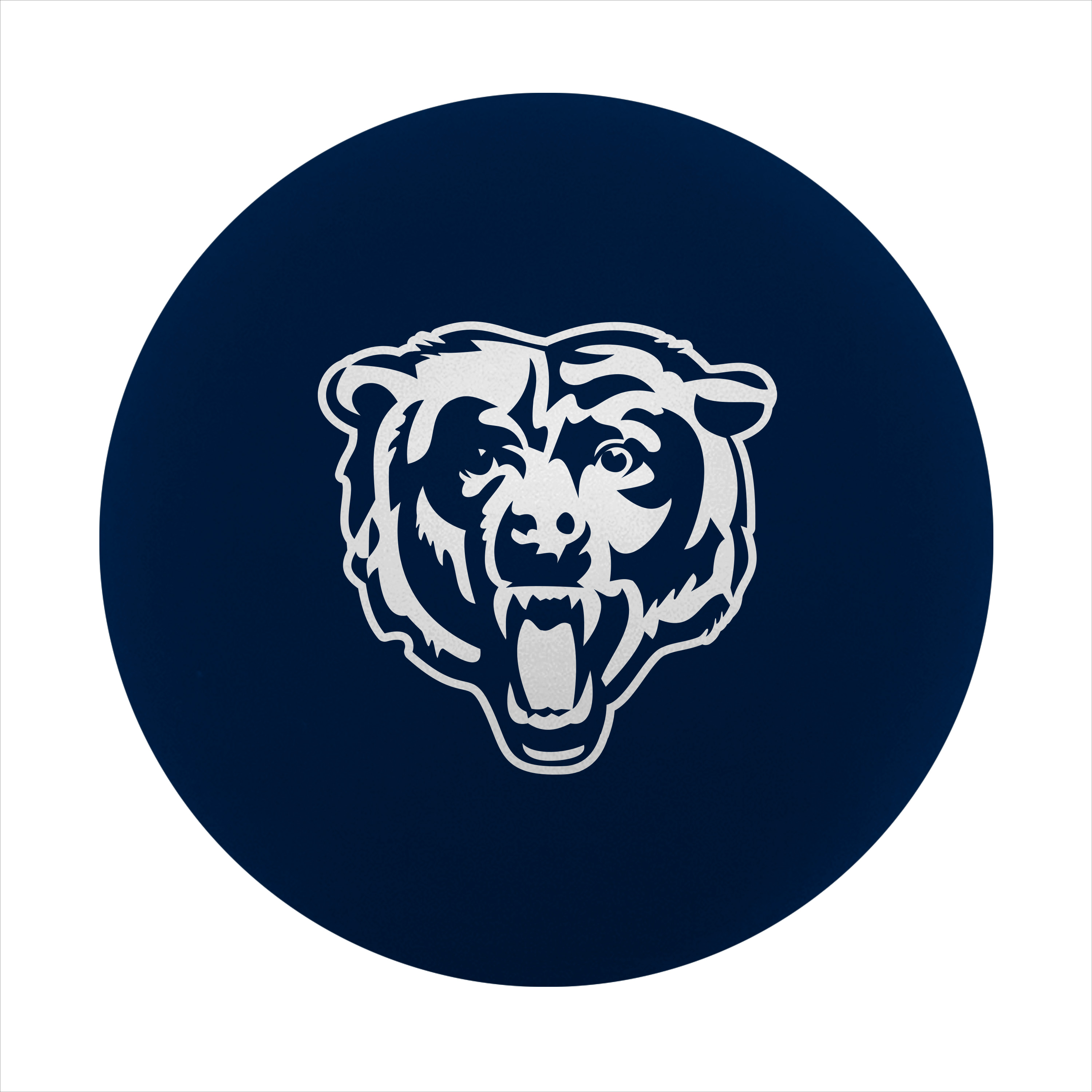 Chicago Bears High Bounce Ball    