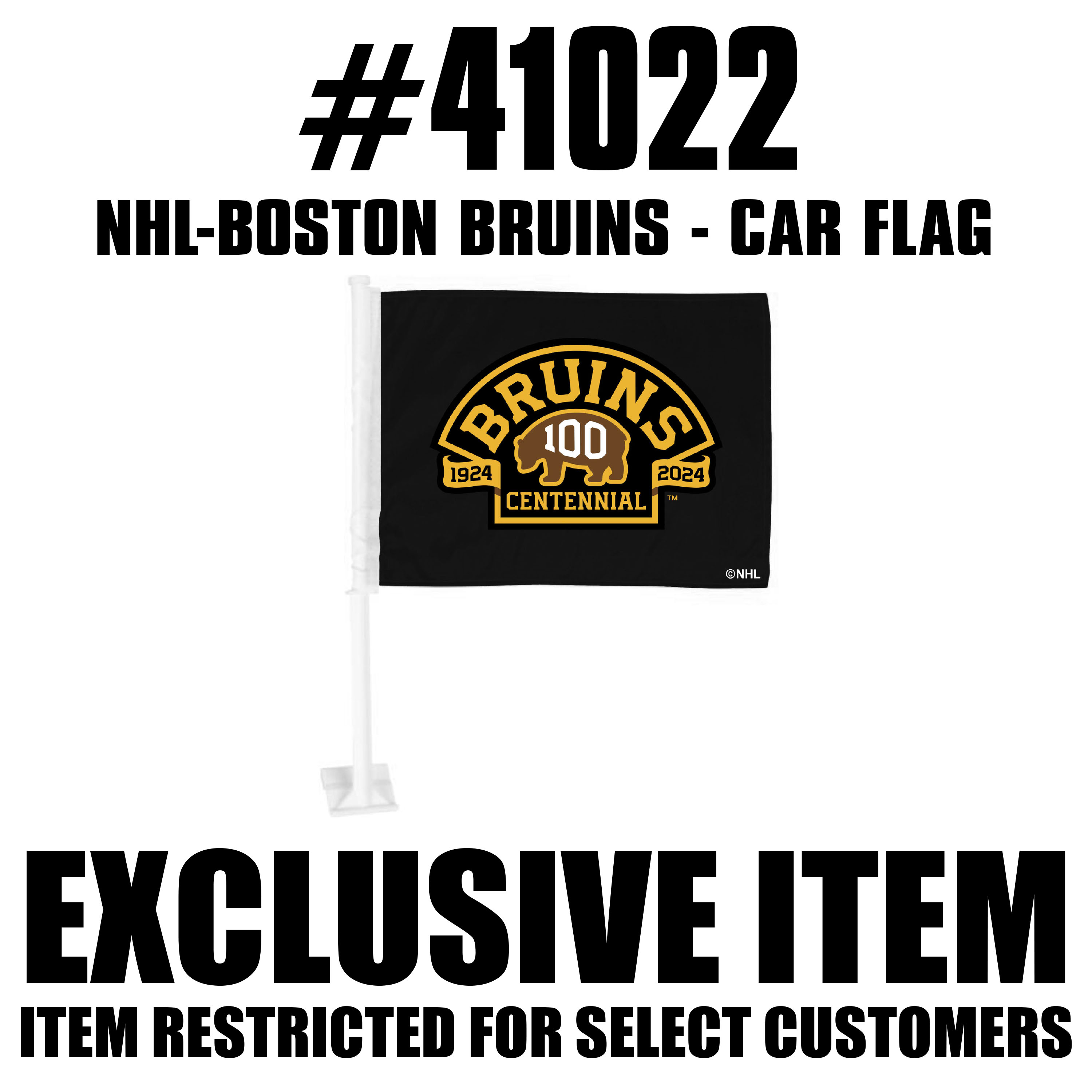 Boston Bruins Centennial Car Flag    