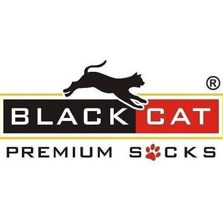 BLACK CAT.jpg