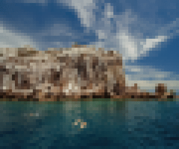 Baja Sea Turtles, Gray Whales and Island Getaway