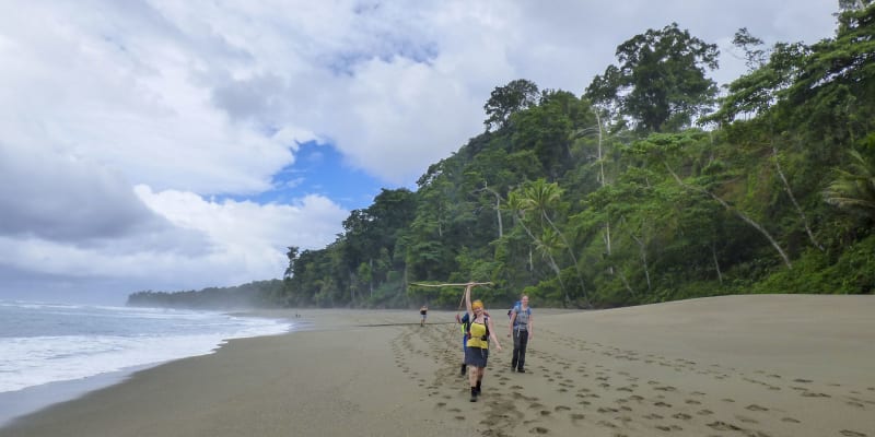 Corcovado Beach Trek and La Leona Ecolodge