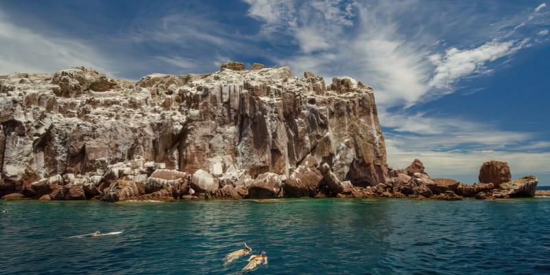 Baja Sea Turtles, Gray Whales and Island Getaway