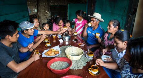 Day with Guatemalan Coffee Farmers