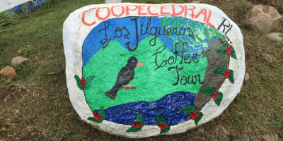 Cedral Community Cooperative