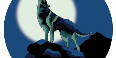 Senderos del Alto Cooperative